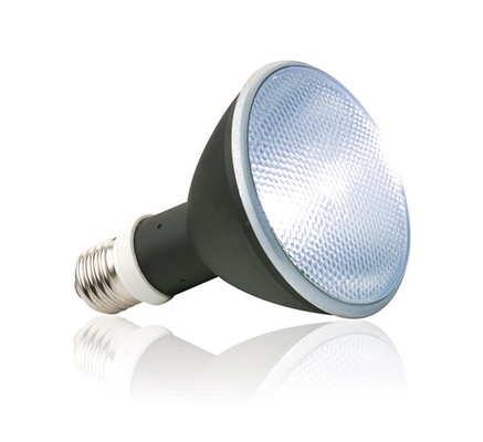 Устойчивый 60w 45w 30w HID металлический галид балласт для УФБ рептилий УФ-лампы