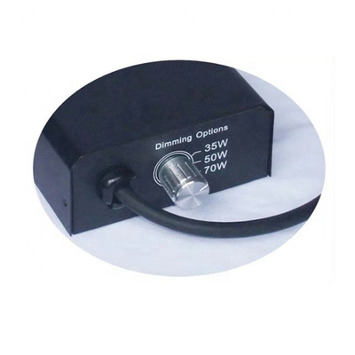 35W 50W 70W 110V-220V Многофункциональный многофункциональный электронный балласт для HID MH Рептильная лампа Кварцевый керамический свет